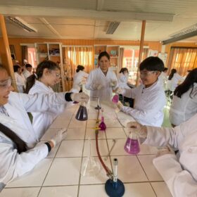 Taller de Investigación Científica 2024