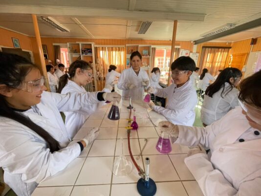 Taller de Investigación Científica 2024